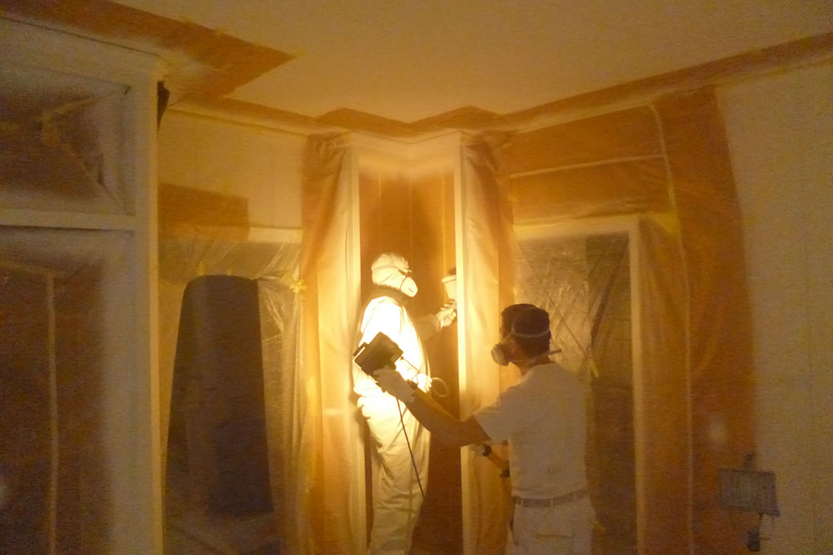 Maler Hameln und Malerarbeiten Hannover mit Balkonsanierung Springe und Betonsanierung Bad Pyrmont