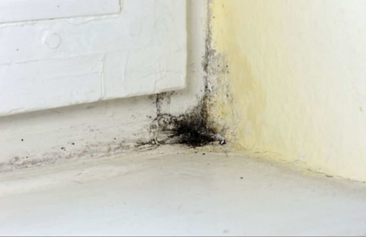 Maler Hameln und Malerarbeiten Hannover mit Balkonsanierung Springe und Betonsanierung Bad Pyrmont