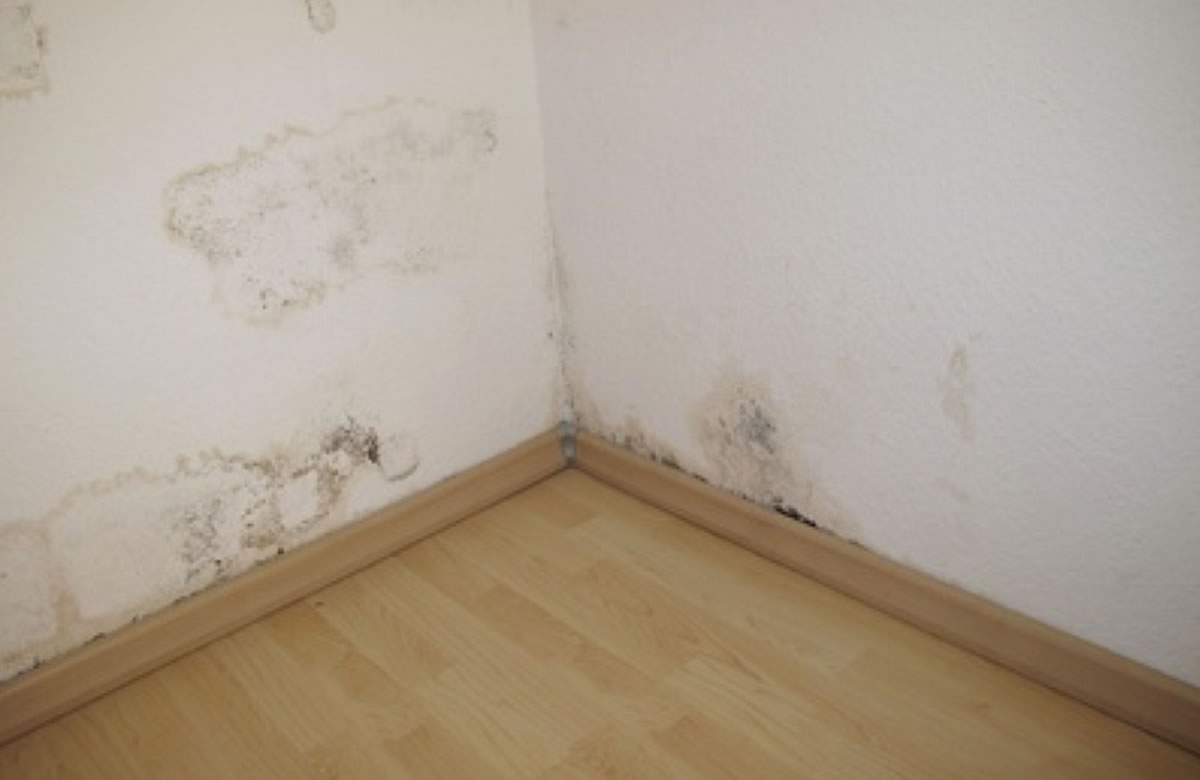 Maler Hameln und Malerarbeiten Hannover mit Balkonsanierung Springe und Betonsanierung Bad Pyrmont