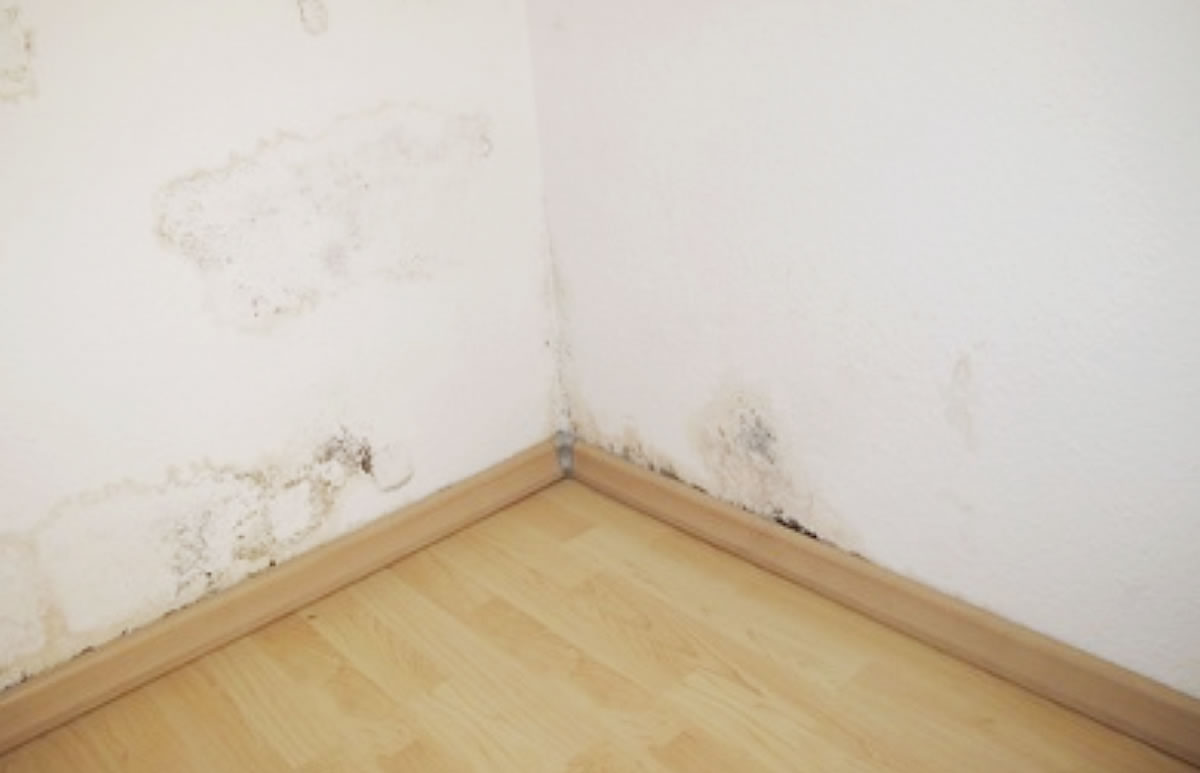 Maler Hameln und Malerarbeiten Hannover mit Balkonsanierung Springe und Betonsanierung Bad Pyrmont