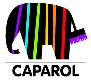 Maler Hameln und Malerarbeiten Hannover mit Balkonsanierung Springe und Betonsanierung Bad Pyrmont